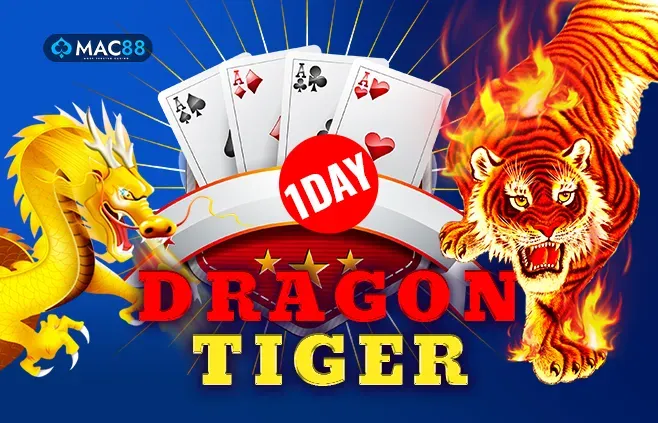 Dragon Tiger 1 Day - Quick card game sessions