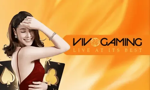 Vivo Gaming provider - Live dealer games